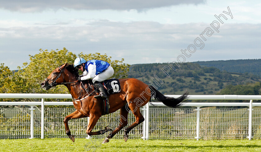 Rafiot-0002 
 RAFIOT (Ellie Vaughan) wins The Gay Kindersley Amateur Jockeys' Handicap Div2
Goodwood 30 Aug 2020 - Pic Steven Cargill / Racingfotos.com