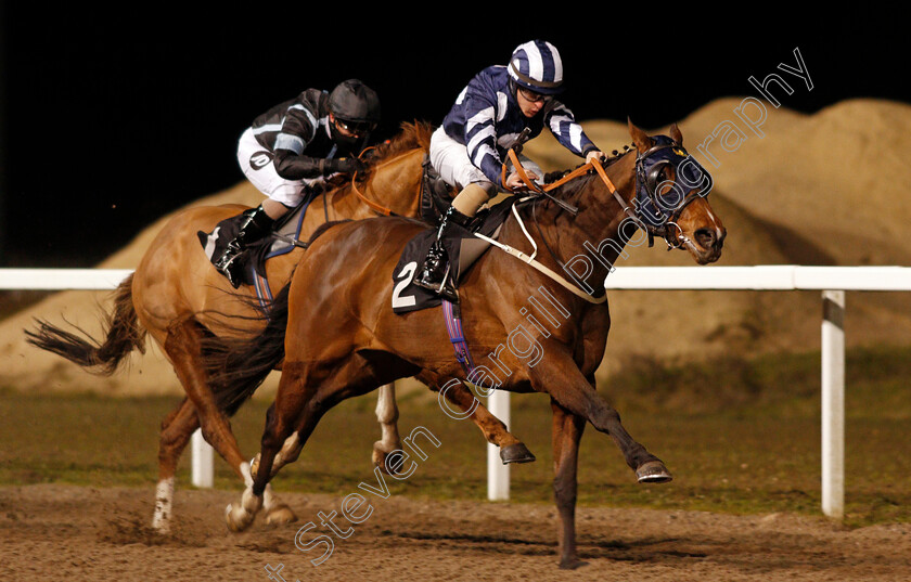 Thai-Terrier-0003 
 THAI TERRIER (Richard Kingscote) wins The chelmsfordcityracecourse Handicap
Chelmsford 22 Jan 2021 - Pic Steven Cargill / Racingfotos.com