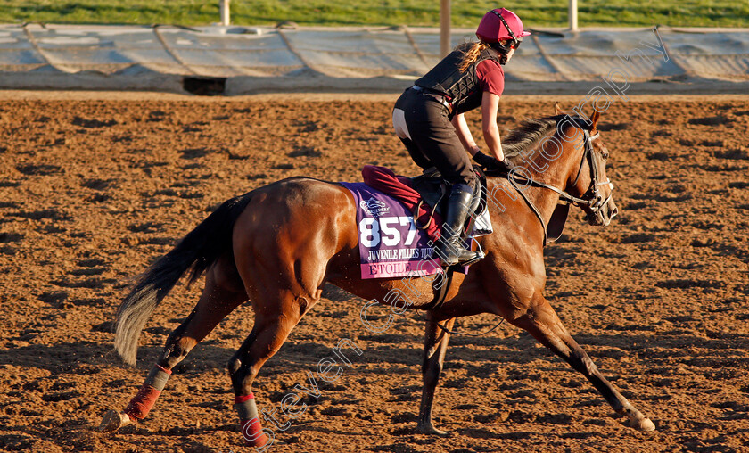 Etoile-0001 
 ETOILE training for The Breeders' Cup Juvenile Fillies Turf
Santa Anita USA 31 Oct 2019 - Pic Steven Cargill / Racingfotos.com