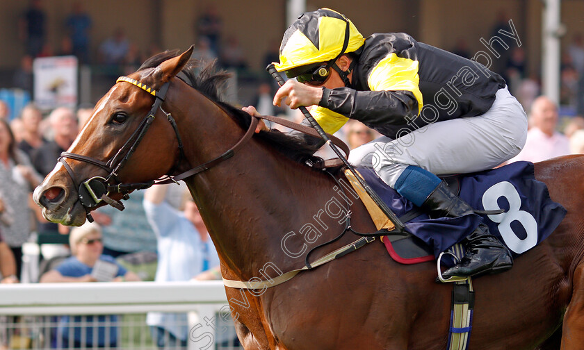 Wajd-0006 
 WAJD (William Buick) wins The British EBF Fillies Novice Stakes
Yarmouth 16 Sep 2021 - Pic Steven Cargill / Racingfotos.com