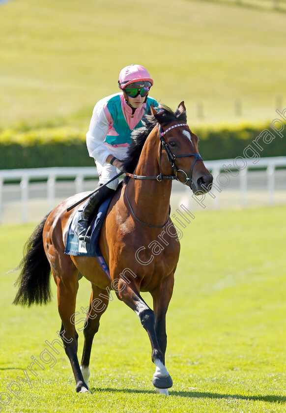 Klondike-0002 
 KLONDIKE (Tom Marquand)
Goodwood 26 May 2023 - Pic Steven Cargill / Racingfotos.com