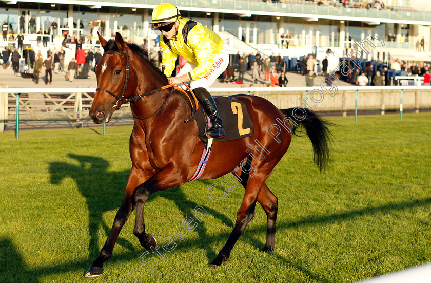 Almaqam-0001 
 ALMAQAM (Tom Marquand)
Newmarket 25 Oct 2023 - Pic Steven Cargill / Racingfotos.com