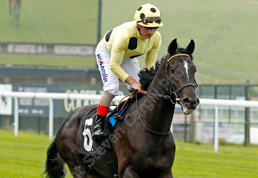 Knightly-Spirit-0002 
 KNIGHTLY SPIRIT (Andrea Atzeni) Goodwood 27 Sep 2017 - Pic Steven Cargill / Racingfotos.com