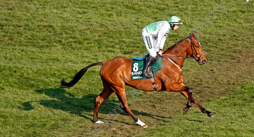 Perfect-Candidate-0001 
 PERFECT CANDIDATE (Alain Cowley) Aintree 14 Apr 2018 - Pic Steven Cargill / Racingfotos.com