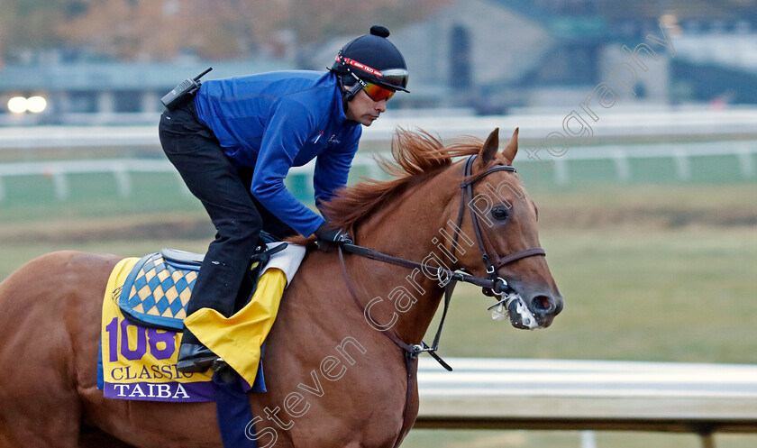 Taiba-0002 
 TAIBA training for the Breeders' Cup Classic
Keeneland USA 2 Nov 2022 - Pic Steven Cargill / Racingfotos.com