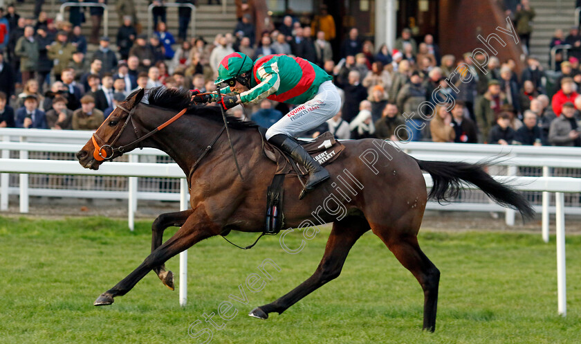 Jet-Blue-0001 
 JET BLUE (James Reveley) wins The Albert Bartlett Novices Hurdle
Cheltenham 14 Dec 2024 - Pic Steven Cargill / Racingfotos.com