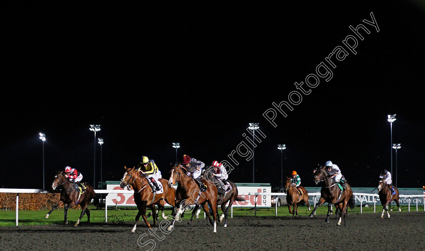 Qaysar-0003 
 QAYSAR (Sean Levey) wins The 32Red Casino EBFstallions.com Novice Stakes Div2 Kempton 22 Nov 2017 - Pic Steven Cargill / Racingfotos.com