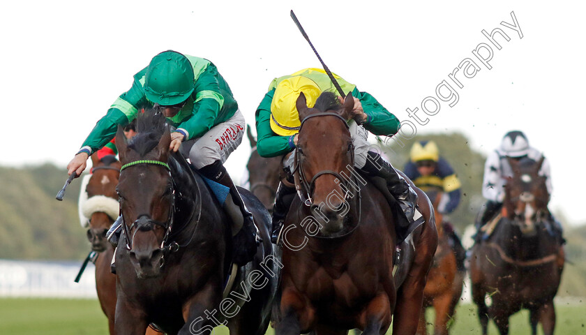 Metal-Merchant-0003 
 METAL MERCHANT (right, Rossa Ryan) beats JEFF KOONS (left) in The Racing Welfare Classified Stakes
Ascot 6 Oct 2023 - Pic Steven Cargill / Racingfotos.com