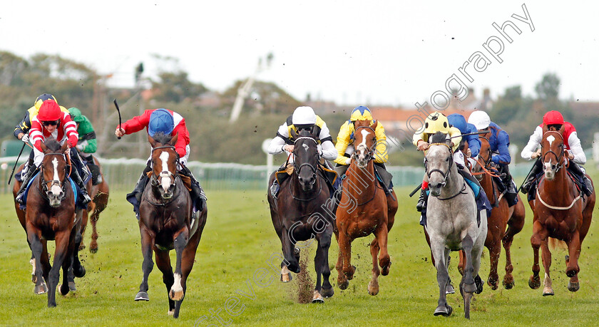 Regal-Reality-0003 
 REGAL REALITY (2nd left, Ryan Moore) beats RICH IDENTITY (grey) in The Hobgoblin Legendary Ruby Ale EBF Maiden Stakes Div2 Yarmouth 20 Sep 2017 - Pic Steven Cargill / Racingfotos.com