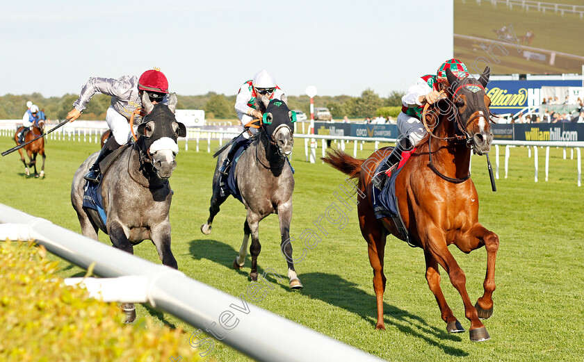 Hayyan-0001 
 HAYYAN (Ioritz Mendizabal) beats MELABI (left) in The President of The UAE Cup (UK Arabian Derby)
Doncaster 14 Sep 2019 - Pic Steven Cargill / Racingfotos.com