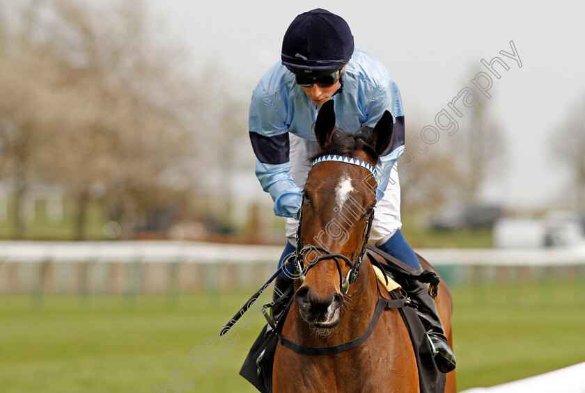 Cachet-0002 
 CACHET (William Buick) winner of The Lanwades Stud Nell Gwyn Stakes
Newmarket 12 Apr 2022 - Pic Steven Cargill / Racingfotos.com