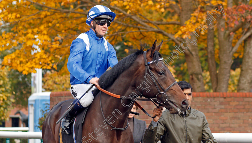 Al-Aasy-0001 
 AL AASY (Jim Crowley)
Newmarket 23 Oct 2019 - Pic Steven Cargill / Racingfotos.com