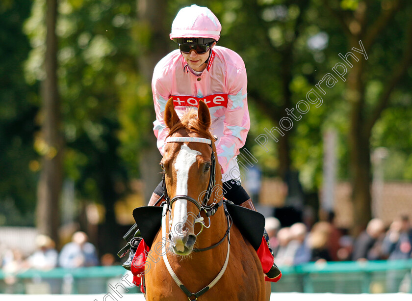 Live-In-The-Dream-0001 
 LIVE IN THE DREAM (Sean Kirrane)
Haydock 8 Jun 2024 - Pic Steven Cargill / Racingfotos.com