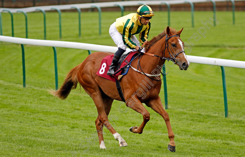 Baileys-Honeymoon-0001 
 BAILEYS HONEYMOON (Silvestre de Sousa)
Haydock 24 May 2024 - Pic Steven cargill / Racingfotos.com