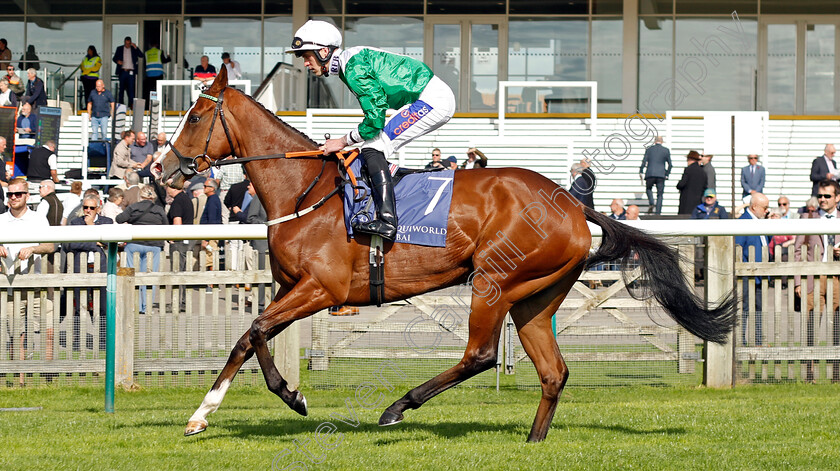 Quick-Change-0001 
 QUICK CHANGE (Clifford Lee)
Newmarket 29 Sep 2023 - Pic Steven Cargill / Racingfotos.com