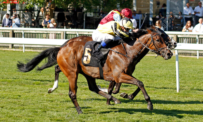 Adjuvant-0005 
 ADJUVANT (Benoit de la Sayette) wins The Moet & Chandon Handicap
Newmarket 9 Jul 2022 - Pic Steven Cargill / Racingfotos.com