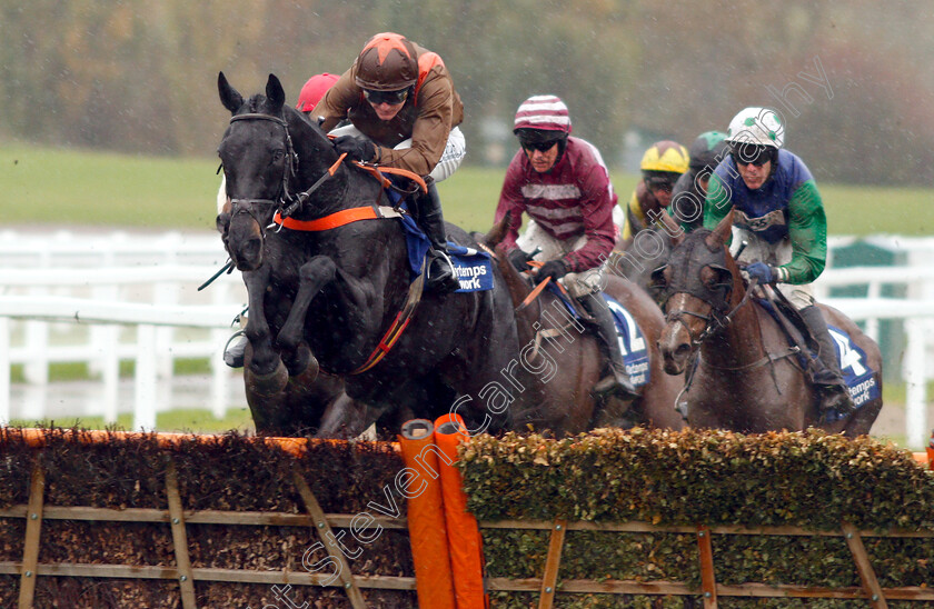 Regal-Flow-0001 
 REGAL FLOW (Sean Houlihan) 
Cheltenham 27 Oct 2018 - Pic Steven Cargill / Racingfotos.com