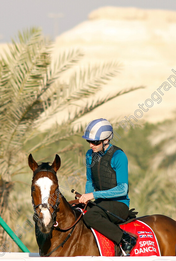 Spirit-Dancer-0001 
 SPIRIT DANCER training for the Bahrain International Trophy
Kingdom of Bahrain 13 Nov 2024 - Pic Steven Cargill / Racingfotos.com