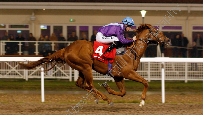 Great-Ambassador-0008 
 GREAT AMBASSADOR (Richard Kingscote) wins The Matchbook EBF Future Stayers Novice Stakes
Chelmsford 28 Nov 2019 - Pic Steven Cargill / Racingfotos.com