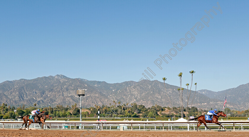 Santa-Anita-0007 
 ABSOLUTE WEAPON wins Allowance Optional Claimer on the eve of the Breeders' Cup
Santa Anita 31 Oct 2019 - Pic Steven Cargill / Racingfotos.com