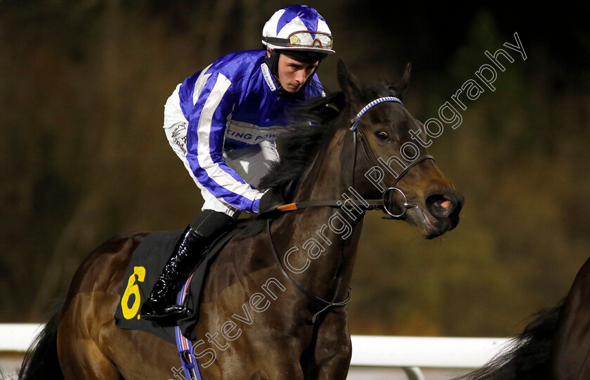 Power-Of-Destiny-0001 
 POWER OF DESTINY (Rossa Ryan)
Kempton 11 Dec 2024 - Pic Steven Cargill / Racingfotos.com