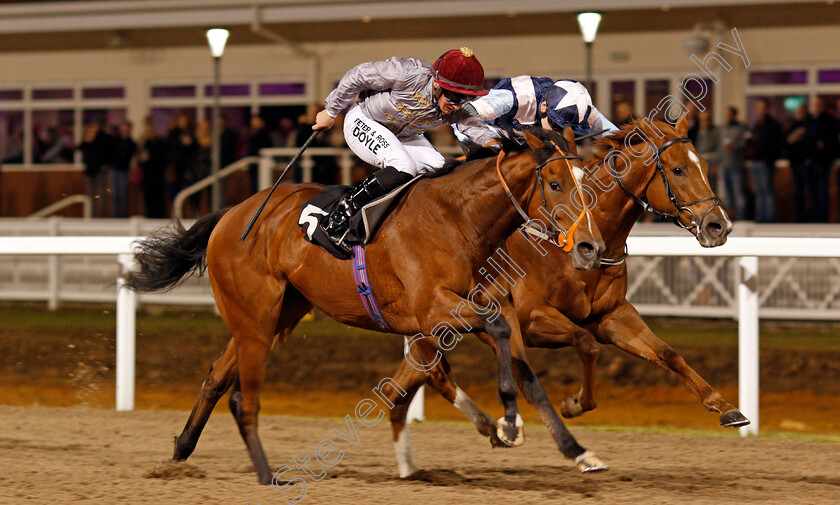 Mushtaq-0004 
 MUSHTAQ (left, Tom Marquand) beats CHOICE ENCOUNTER (right) in The Bet toteJackpot At betfred.com EBF Novice Stakes Chelmsford 7 Dec 2017 - Pic Steven Cargill / Racingfotos.com