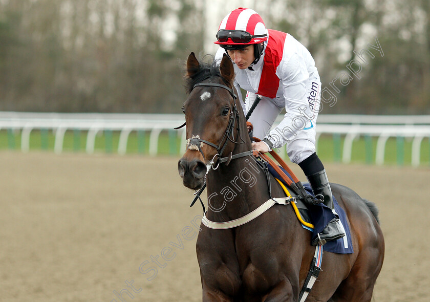 Fields-Of-Athenry-0001 
 FIELDS OF ATHENRY (P J McDonald)
Lingfield 23 Mar 2019 - Pic Steven Cargill / Racingfotos.com