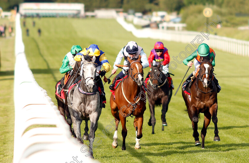 Flippa-The-Strippa-0004 
 FLIPPA THE STRIPPA ( left, Silvestre De Sousa) beats STRIVE FOR GLORY (right) and ELECTRIC LADYLAND (centre) in The Matchbook Betting Podcast National Stakes
Sandown 23 May 2019 - Pic Steven Cargill / Racingfotos.com