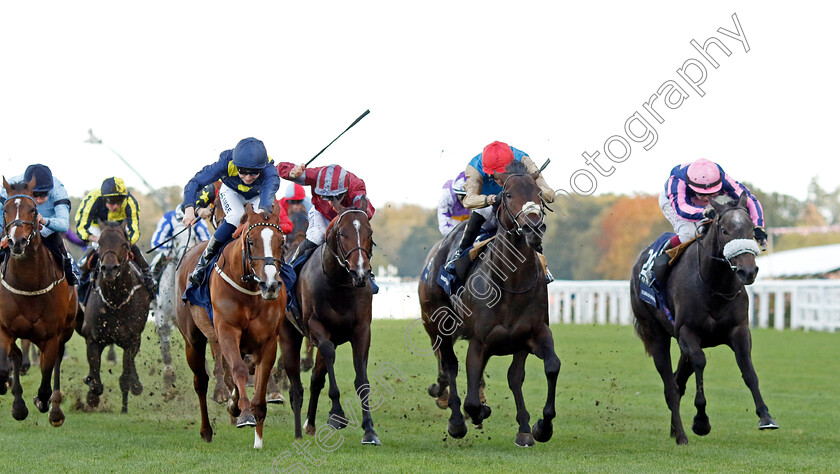 Kind-Of-Blue-0004 
 KIND OF BLUE (centre, James Doyle) beats FLORA OF BERMUDA (right) and SWINGALONG (left) in The Qipco British Champions Sprint Stakes
Ascot 19 Oct 2024 - Pic Steven Cargill / Racingfotos.com