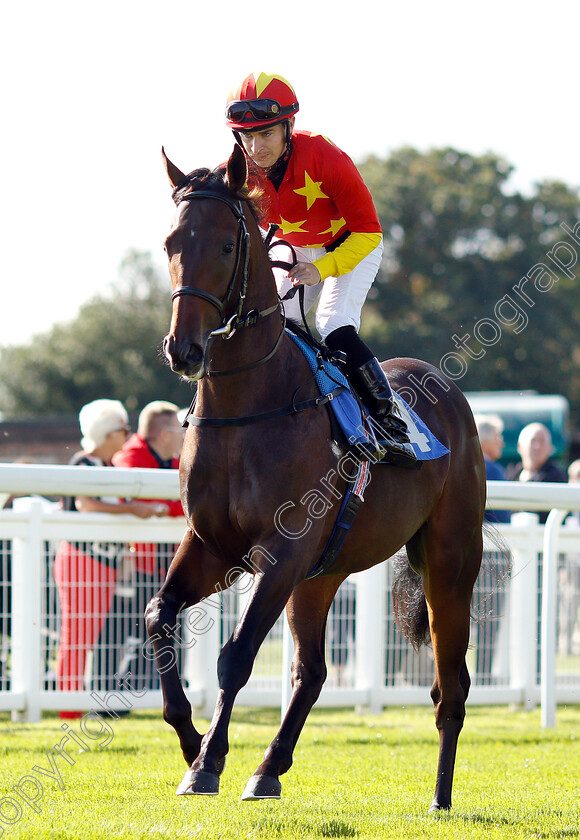 Frederickbarbarosa-0001 
 FREDERICKBARBAROSA (Nicky Mackay)
Salisbury 3 Oct 2018 - Pic Steven Cargill / Racingfotos.com