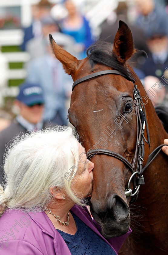 Celandine-0004 
 CELANDINE (Tom Marquand) winner of The Sky Bet Lowther Stakes
York 22 Aug 2024 - Pic Steven Cargill / Racingfotos.com