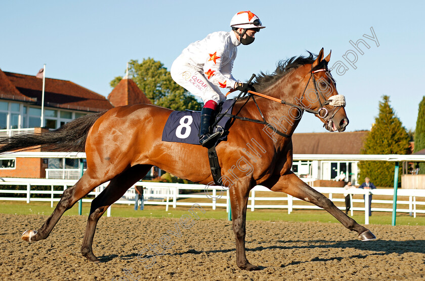 Victory-Won-0001 
 VICTORY WON (Oisin Murphy)
Lingfield 4 Aug 2020 - Pic Steven Cargill / Racingfotos.com