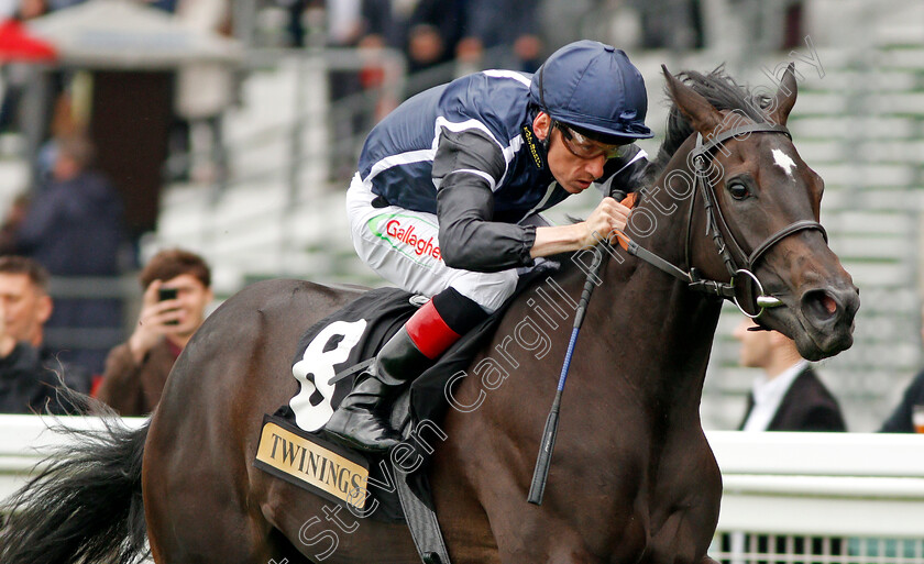 Odyssa-0007 
 ODYSSA (Shane Kelly) wins The Twinings Novice Auction Stakes Div2 Ascot 8 Sep 2017 - Pic Steven Cargill / Racingfotos.com