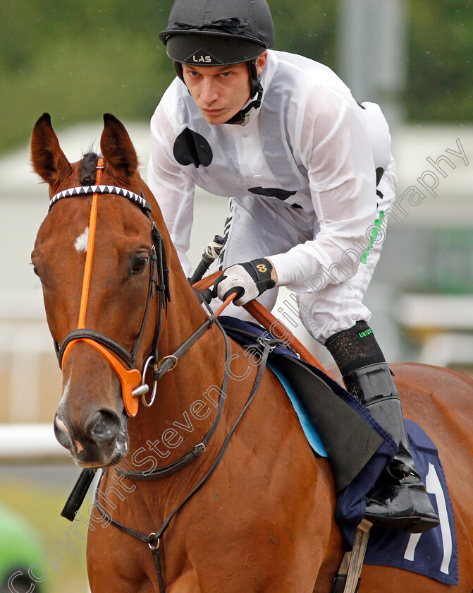 Mon-Frere-0002 
 MON FRERE (Luke Morris)
Wolverhampton 17 Jul 2019 - Pic Steven Cargill / Racingfotos.com