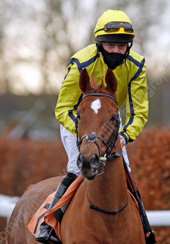 Light-Of-Thunder-0001 
 LIGHT OF THUNDER (Liam Keniry)
Kempton 16 Feb 2021 - Pic Steven Cargill / Racingfotos.com