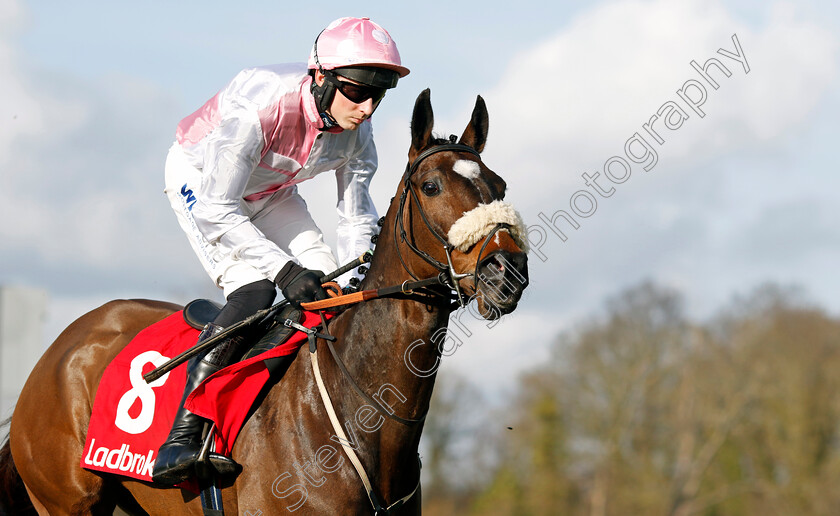 Starcrossed-Lover-0002 
 STARCROSSED LOVER (Conor O'Farrell)
Kempton 22 Feb 2025 - Pic Steven Cargill / Racingfotos.com