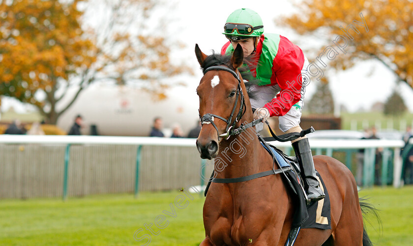 Baltic-Wolve-0001 
 BALTIC WOLVE (Kieran O'Neill)
Newmarket 23 Oct 2019 - Pic Steven Cargill / Racingfotos.com