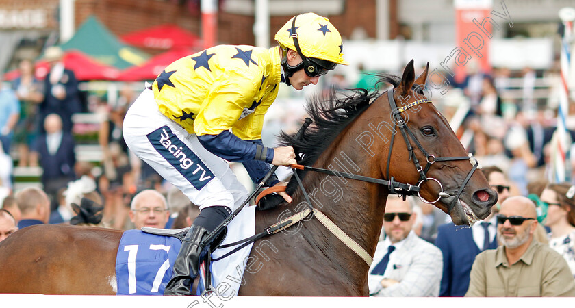 Euchen-Glen-0002 
 EUCHEN GLEN (Paul Mulrennan)
York 20 Aug 2022 - Pic Steven Cargill / Racingfotos.com