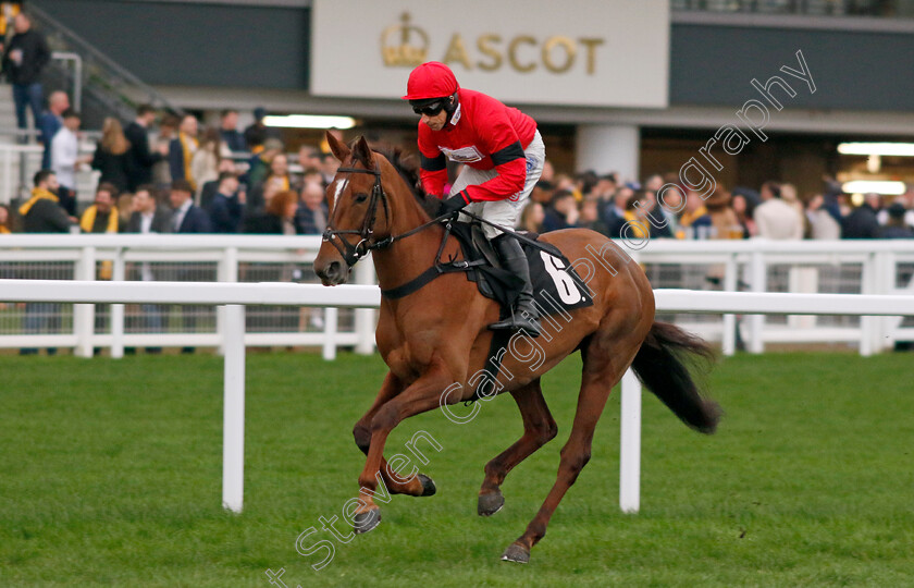 Lady-Jago-0001 
 LADY JAGO (Harry Skelton)
Ascot 17 Feb 2024 - Pic Steven Cargill / Racingfotos.com