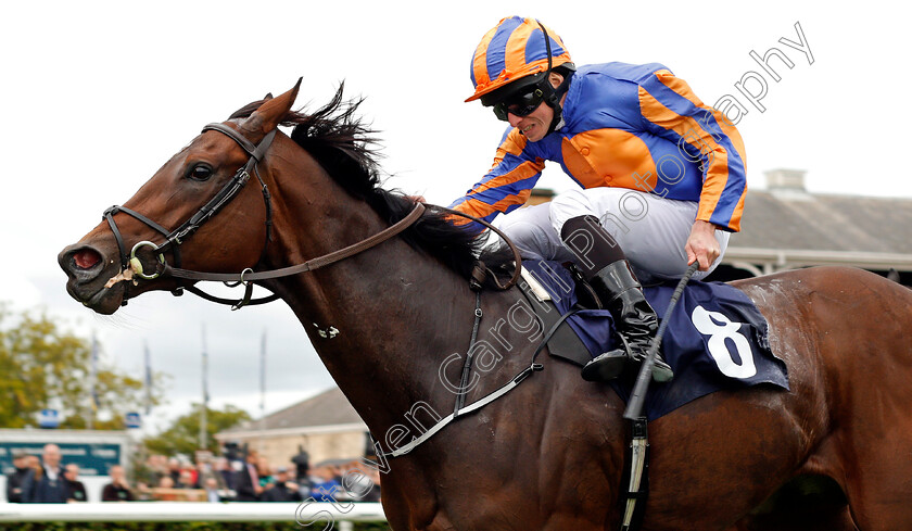 Music-Box-0005 
 MUSIC BOX (Ryan Moore) wins The Japan Racing Association Sceptre Stakes Doncaster 15 Sep 2017 - Pic Steven Cargill / Racingfotos.com