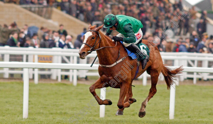 Concertista-0002 
 CONCERTISTA (Daryl Jacob) wins The Daylesford Mares Novices Hurdle
Cheltenham 12 Mar 2020 - Pic Steven Cargill / Racingfotos.com