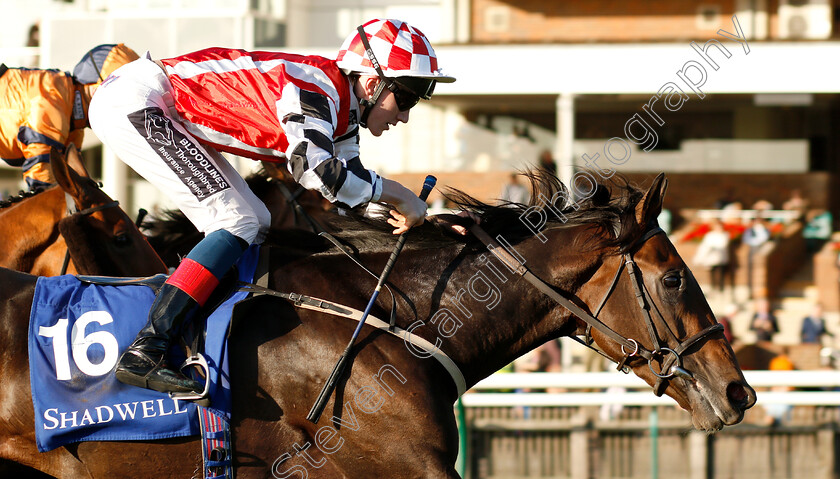 Jazeel-0005 
 JAZEEL (David Egan) wins The Shadwell Farm Handicap
Newmarket 28 Sep 2018 - Pic Steven Cargill / Racingfotos.com