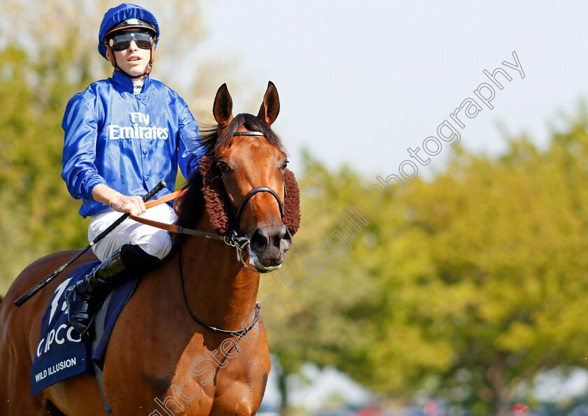 Wild-Illusion-0002 
 WILD ILLUSION (James Doyle) Newmarket 6 May 2018 - Pic Steven Cargill / Racingfotos.com