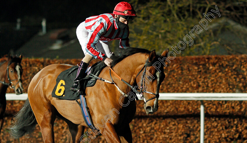 Loyal-Havana-0001 
 LOYAL HAVANA (Joe Fanning)
Kempton 13 Jan 2021 - Pic Steven Cargill / Racingfotos.com