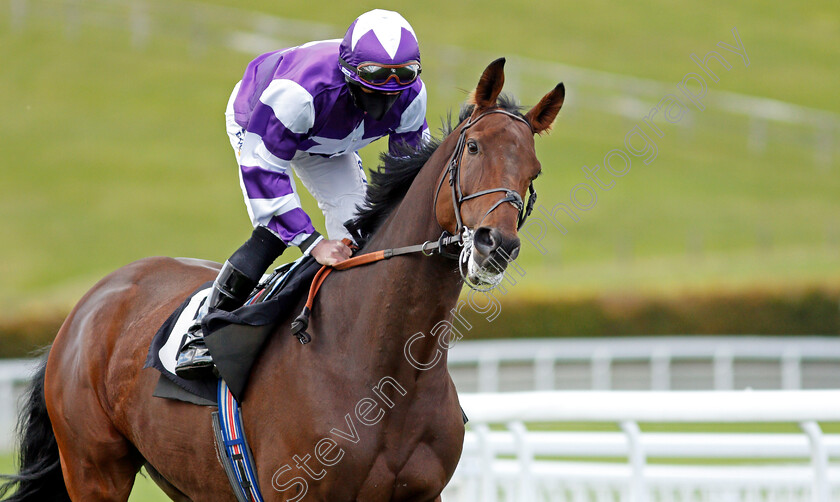 Seaborn-0001 
 SEABORN (Ryan Moore)
Goodwood 11 Oct 2020 - Pic Steven Cargill / Racingfotos.com