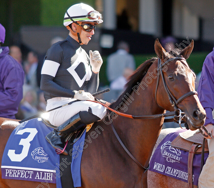 Perfect-Alibi-0001 
 PERFECT ALIBI (Irad Ortiz)
Santa Anita 1 Nov 2019 - Pic Steven Cargill / Racingfotos.com