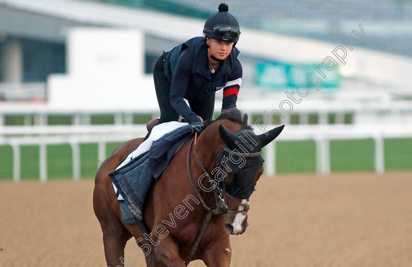 Silent-Film-0001 
 SILENT FILM training at the Dubai Racing Carnival 
Meydan 4 Jan 2024 - Pic Steven Cargill / Racingfotos.com