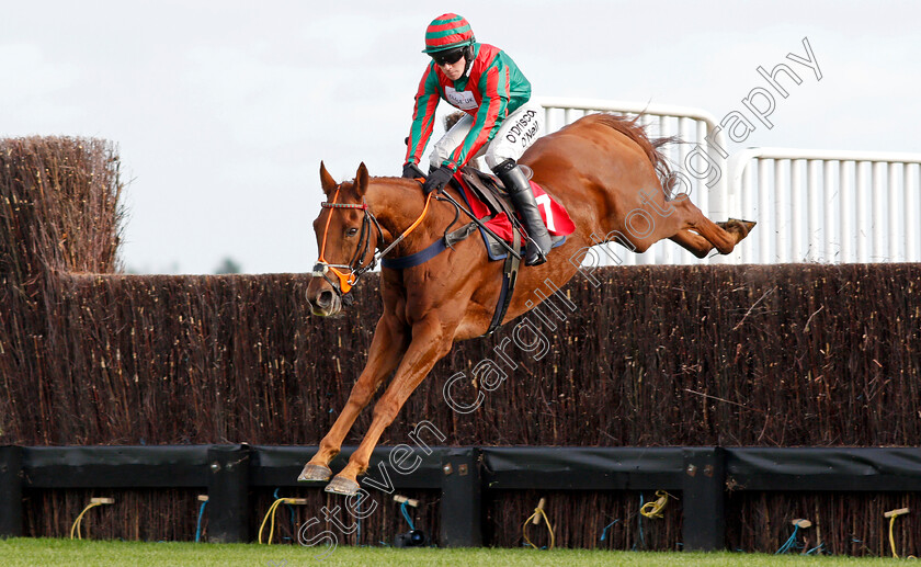 Volt-Face-0001 
 VOLT FACE (J J Burke) Kempton 22 Oct 2017 - Pic Steven Cargill / Racingfotos.com