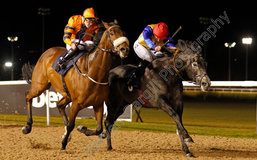 Mount-Tahan-0003 
 MOUNT TAHAN (left, Kevin Stott) beats MARATHA (right) in The Betway Casino Handicap Wolverhampton 15 Jan 2018 - Pic Steven Cargill / Racingfotos.com