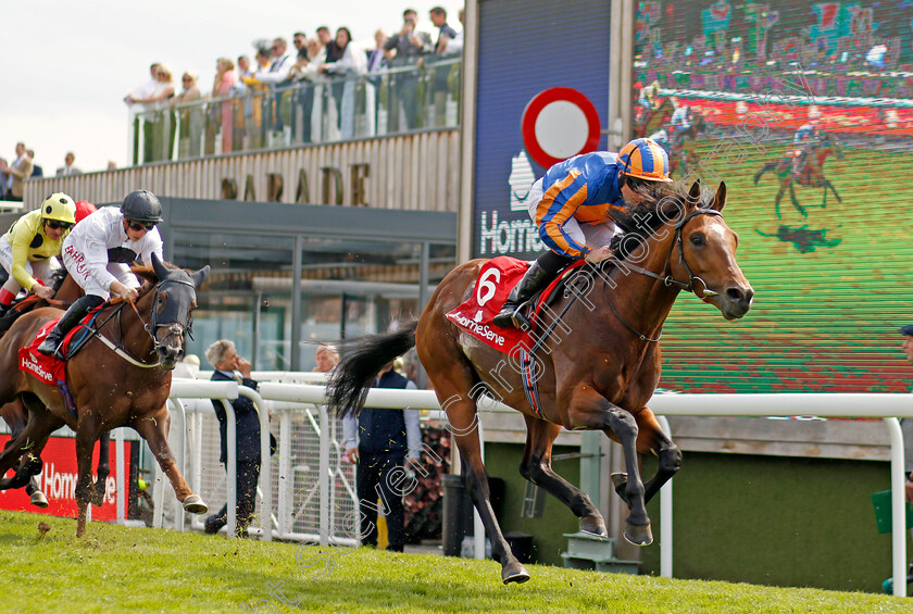 Star-Of-India-0008 
 STAR OF INDIA (Ryan Moore) wins The Homeserve Dee Stakes
Chester 5 May 2022 - Pic Steven Cargill / Racingfotos.com